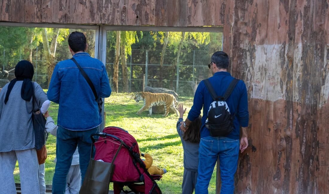 İzmir Büyükşehir Belediyesi Doğal Yaşam Parkı, 8 Kasım'da başlayan ara