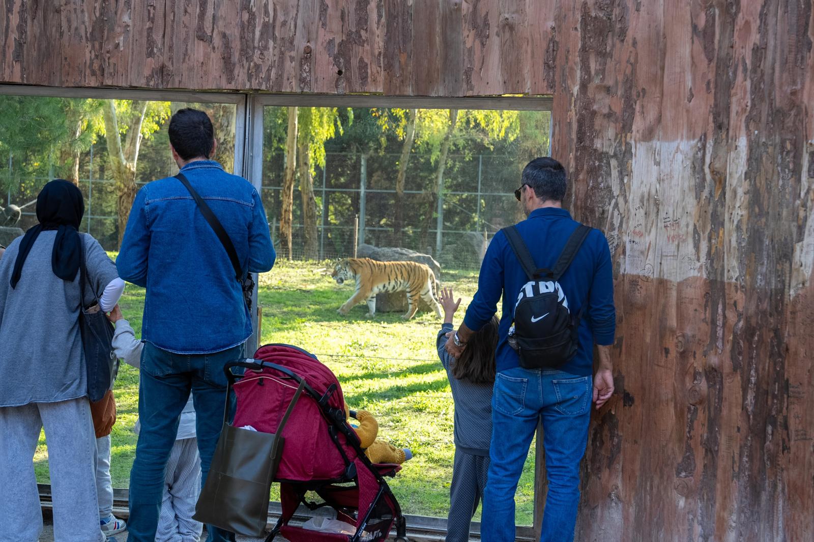 İzmir Büyükşehir Belediyesi Doğal Yaşam Parkı, 8 Kasım'da başlayan ara
