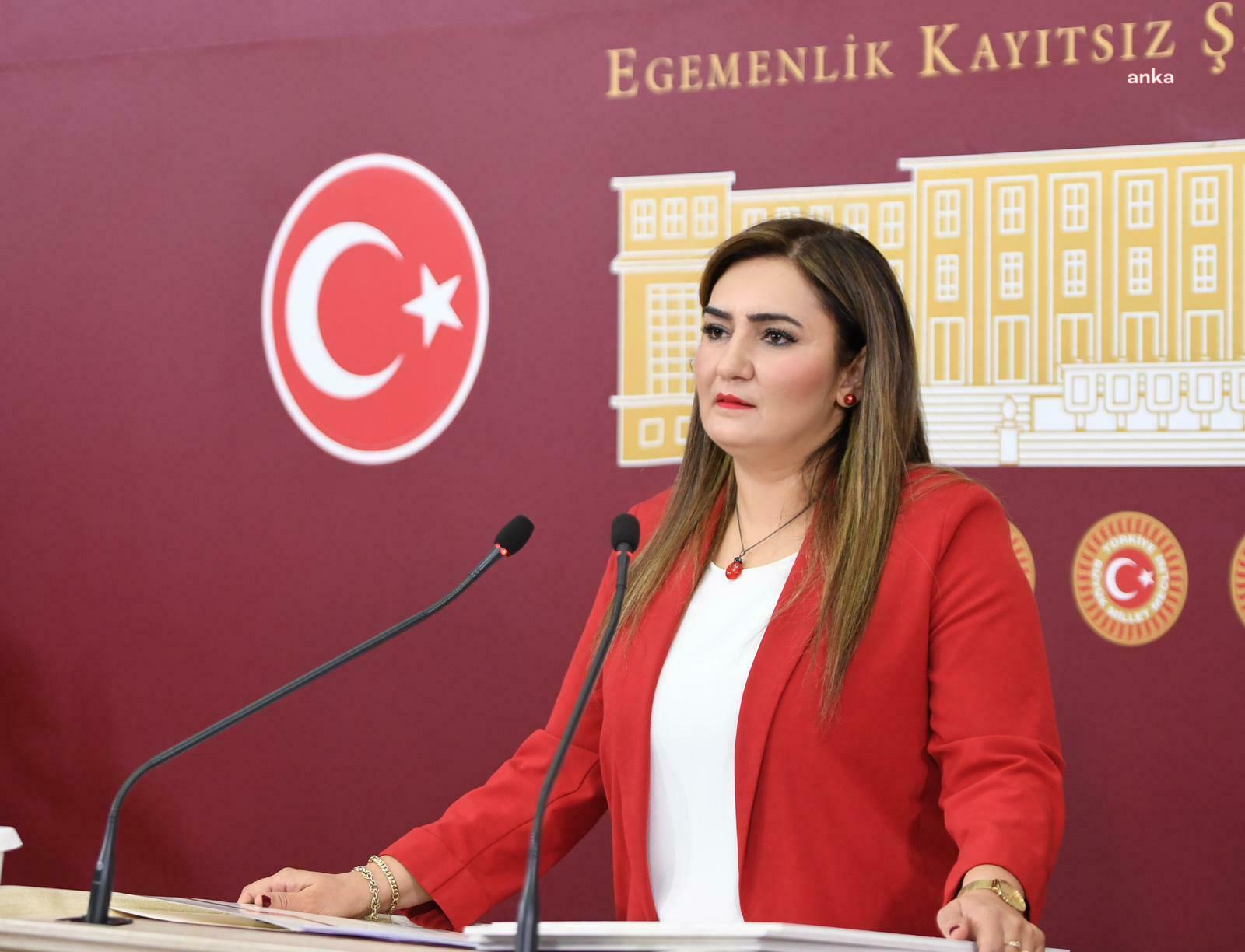CHP İzmir Milletvekili Sevda Erdan Kılıç, Genel Başkan Özgür Özel'e