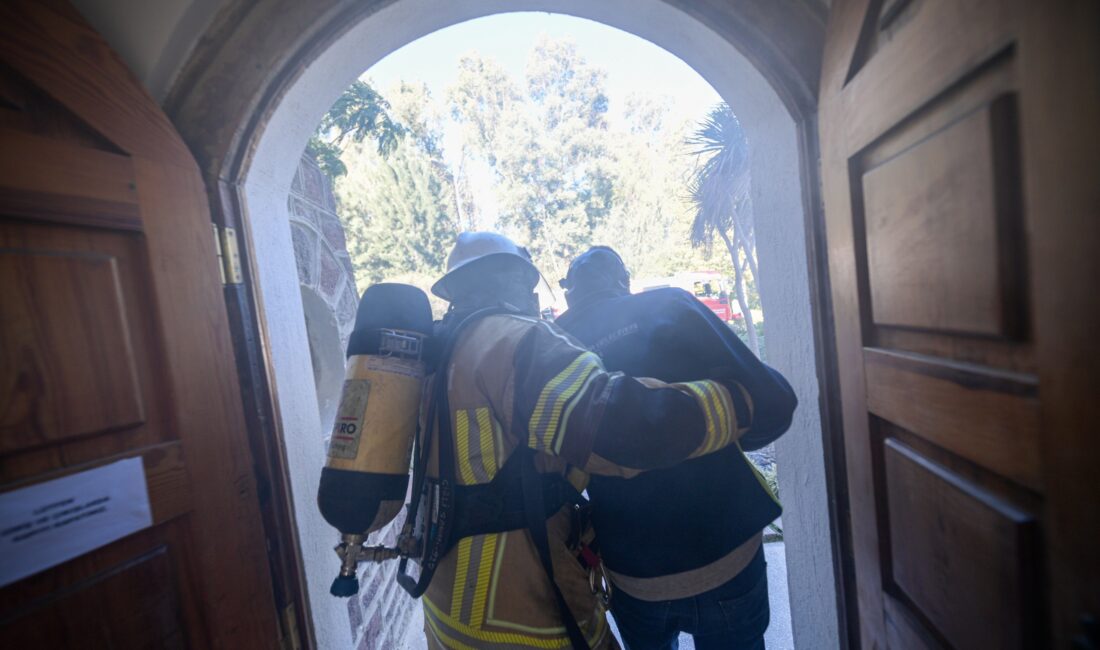 İzmir Büyükşehir Belediyesi, güvenli kent hedefi doğrultusunda yüzlerce hayvanın barındığı