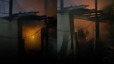 Aydın'ın Efeler ilçesi Umurlu Mahallesi'nde Ali Koç'a ait bir bağ