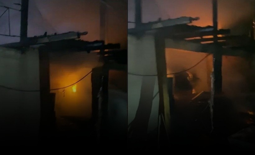 Aydın'ın Efeler ilçesi Umurlu Mahallesi'nde Ali Koç'a ait bir bağ