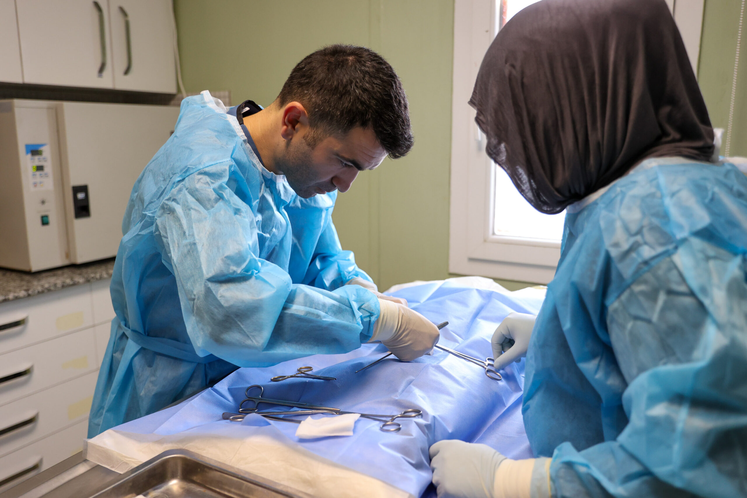 Buca’da Rekor Kırıldı 11 Ayda 3 Bini Aşkın Sokak Kedisi Kısırlaştırıldı