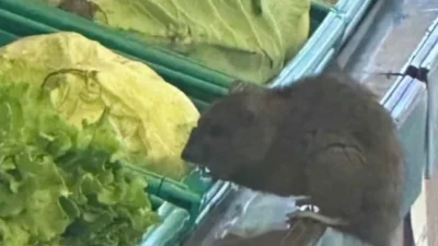 Bursa İnegöl'de bir zincir marketin manav reyonunda fare görüldü, görüntüler