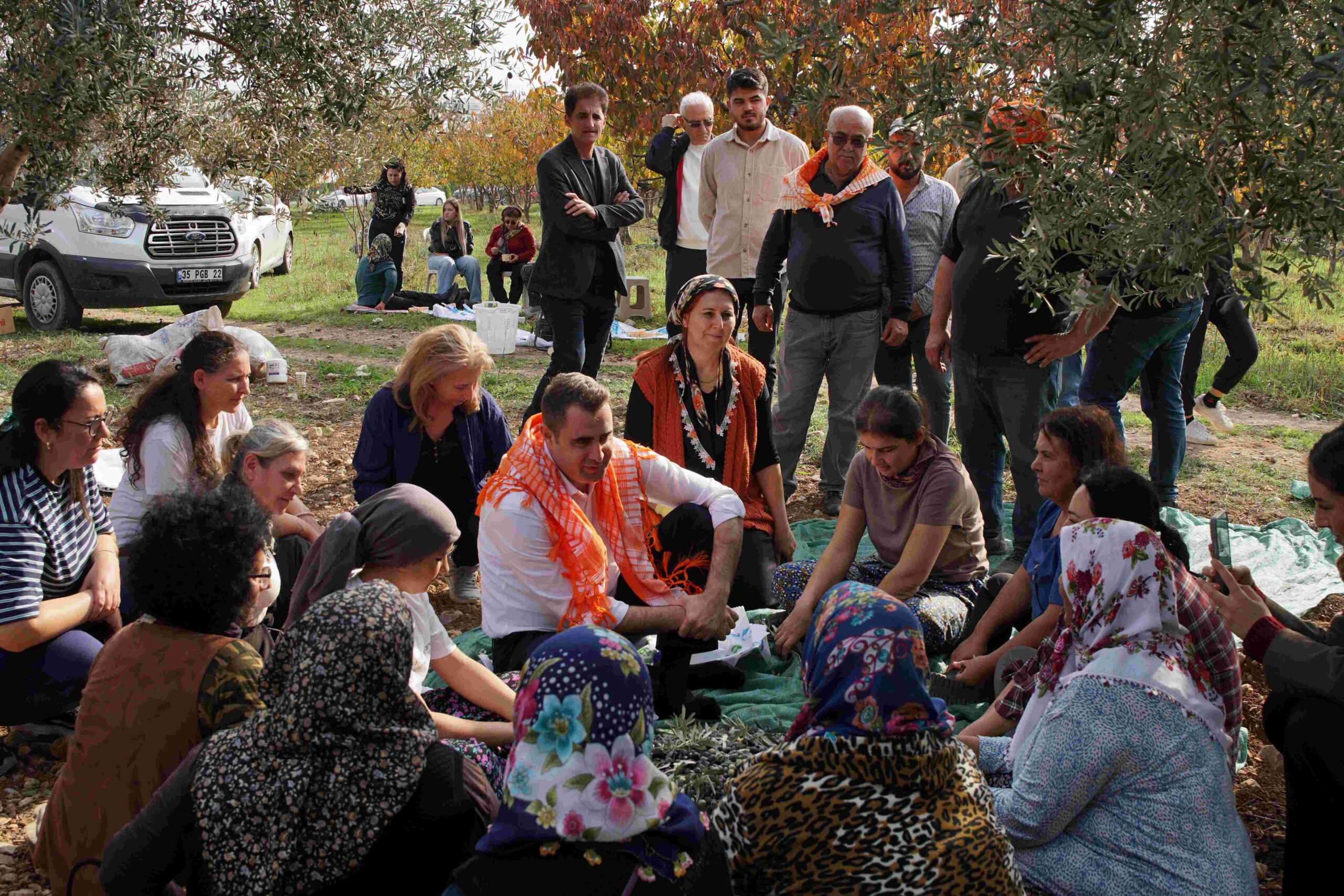 CHP İl Başkanı Güç'ten Kemalpaşa'da ilk Zeytin Hasadı