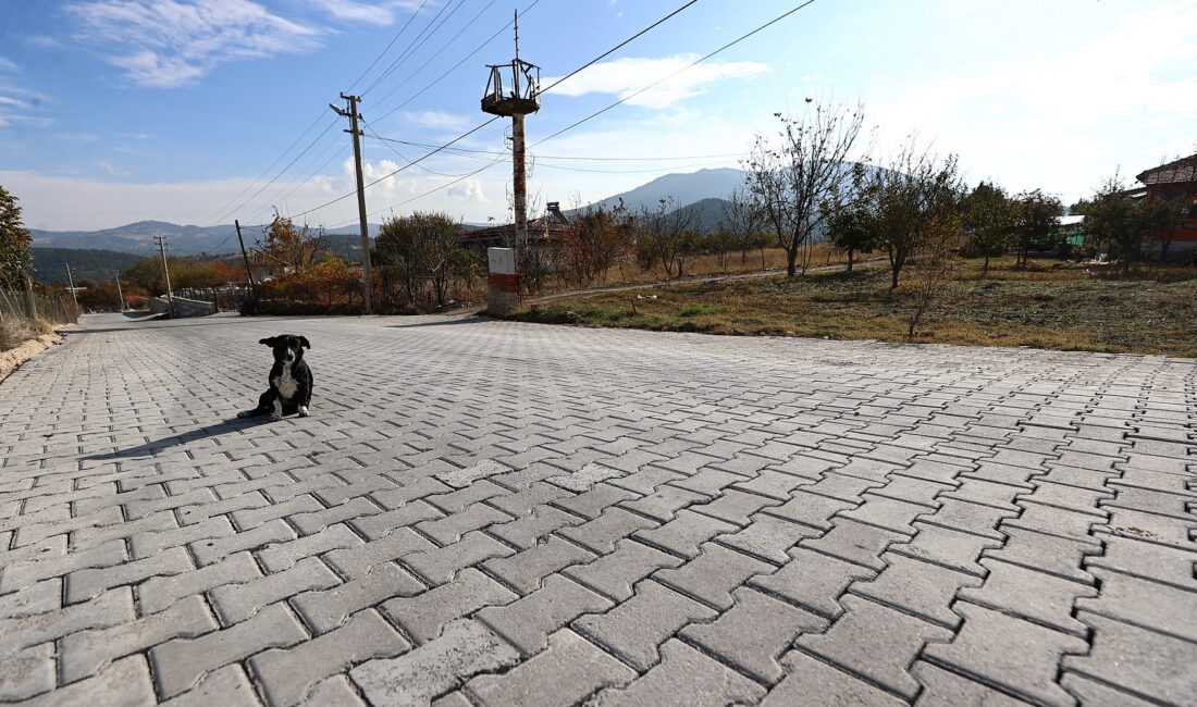 Denizli Büyükşehir Belediyesi, Serinhisar ilçesindeki Cumhuriyet ve Kocapınar mahallelerinde tamamı