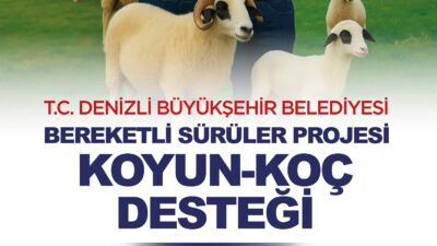 Denizli Büyükşehir Belediyesi, "Bereketli Sürüler Projesi" ile 300 kadın üreticiye