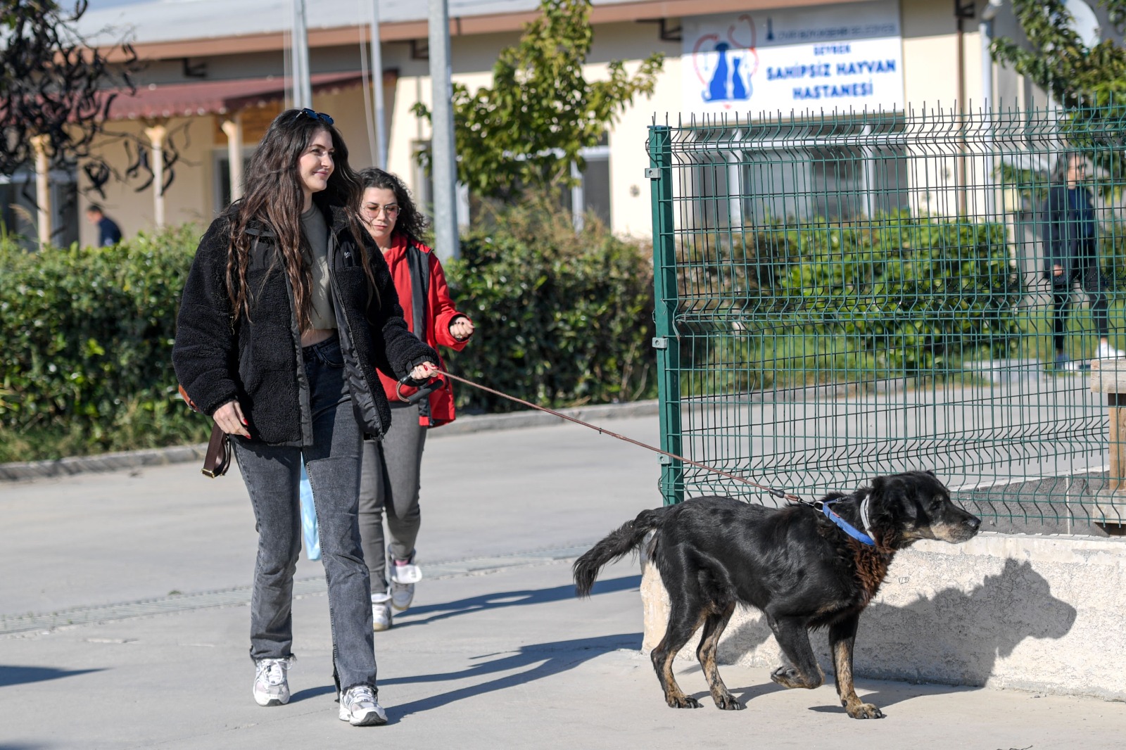 İzmir Büyükşehir'den Anlamlı Hamle Şule Çörekçi'nin 17 Emaneti Yuva Arıyor