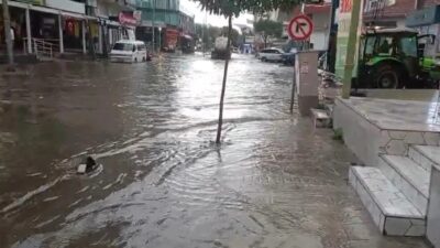 İzmir'in kuzey ilçeleri Aliağa, Foça, Dikili ve Bergama'da yoğun sağanak