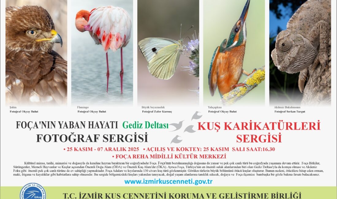 İzmir Kuş Cenneti Karikatür Yarışması ödülleri 25 Kasım'da Foça'da sahiplerini