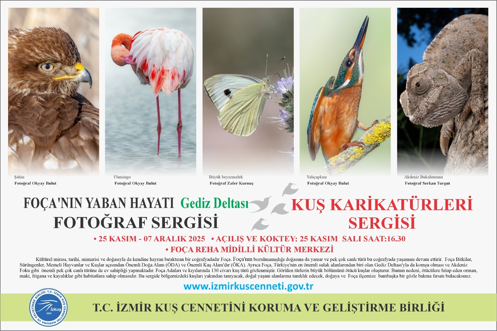 İzmir Kuş Cenneti Karikatür Yarışması ödülleri 25 Kasım'da Foça'da sahiplerini