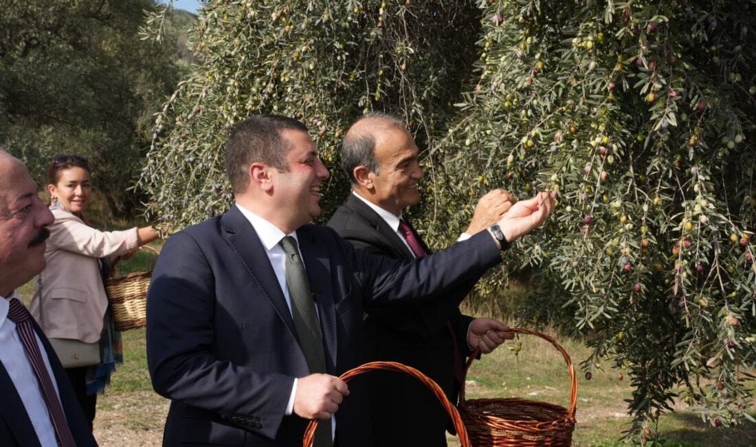 İTB, Torbalı Belediyesi iş birliğiyle Metropolis’te zeytin sezonunu açtı. Başkan