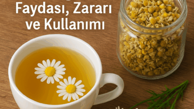 Papatya çayının faydaları, zararları ve doğru demleme yöntemleri hakkında bilmeniz