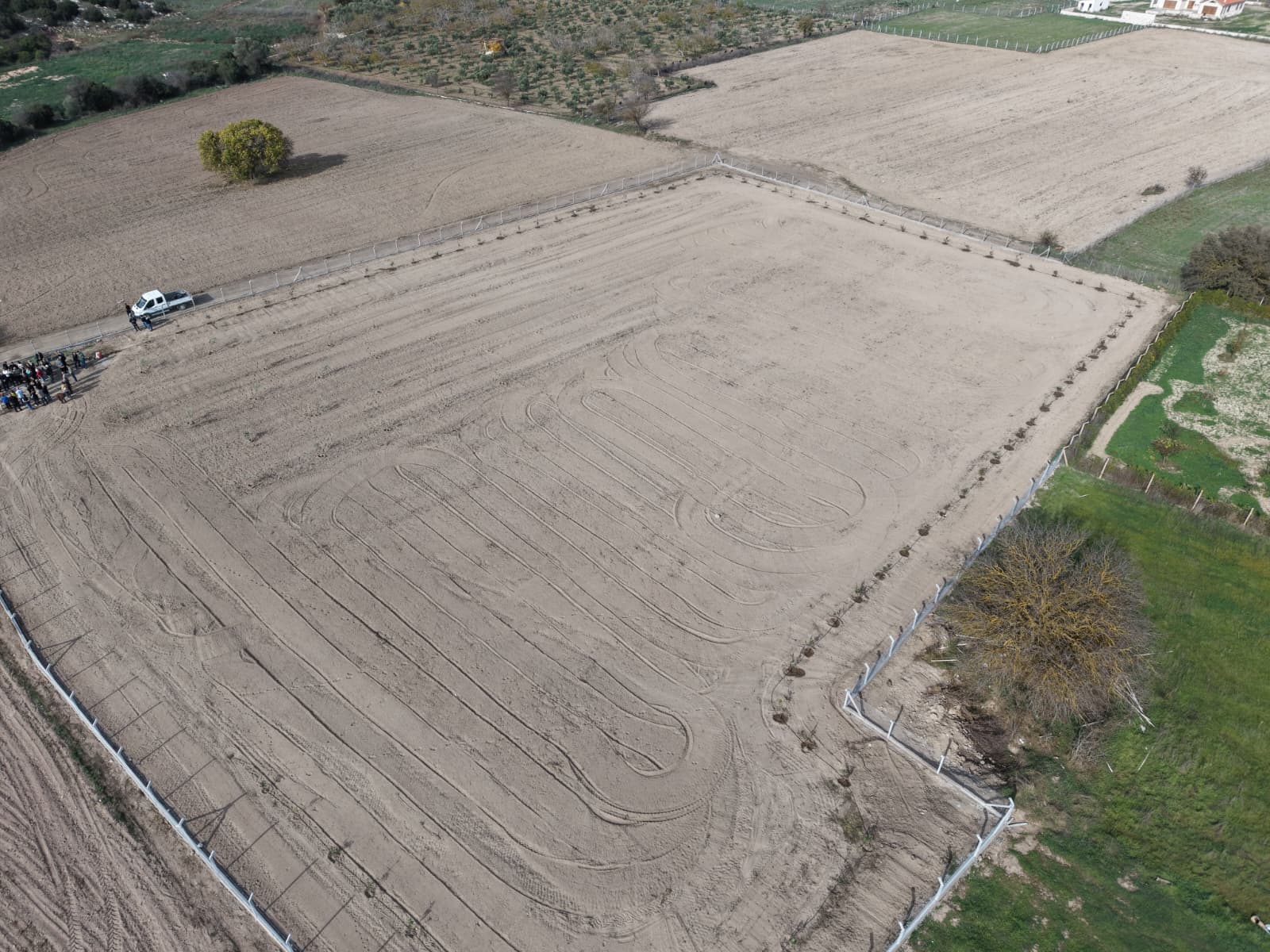 Urla’da Atatürk’ün Vasiyeti Yerine Getirildi: Zeytin Koleksiyon Bahçesi