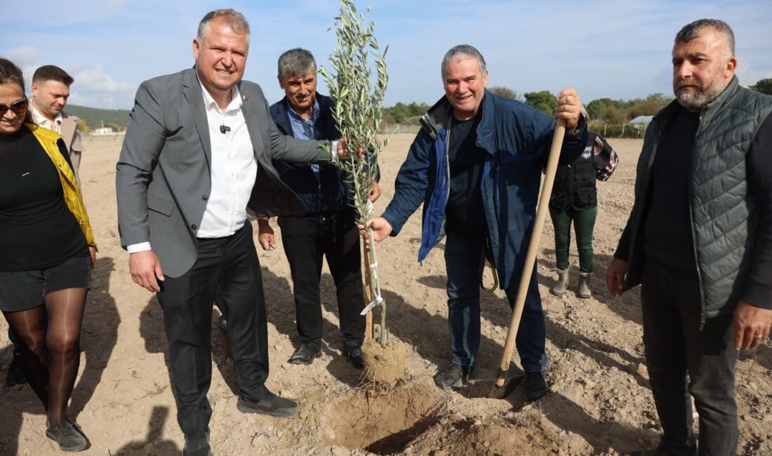 Urla Belediyesi, Atatürk'ün vasiyeti doğrultusunda Zeytin Koleksiyon Bahçesi'nde ilk fidanı