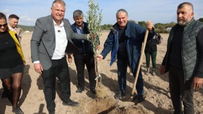 Urla Belediyesi, Atatürk'ün vasiyeti doğrultusunda Zeytin Koleksiyon Bahçesi'nde ilk fidanı