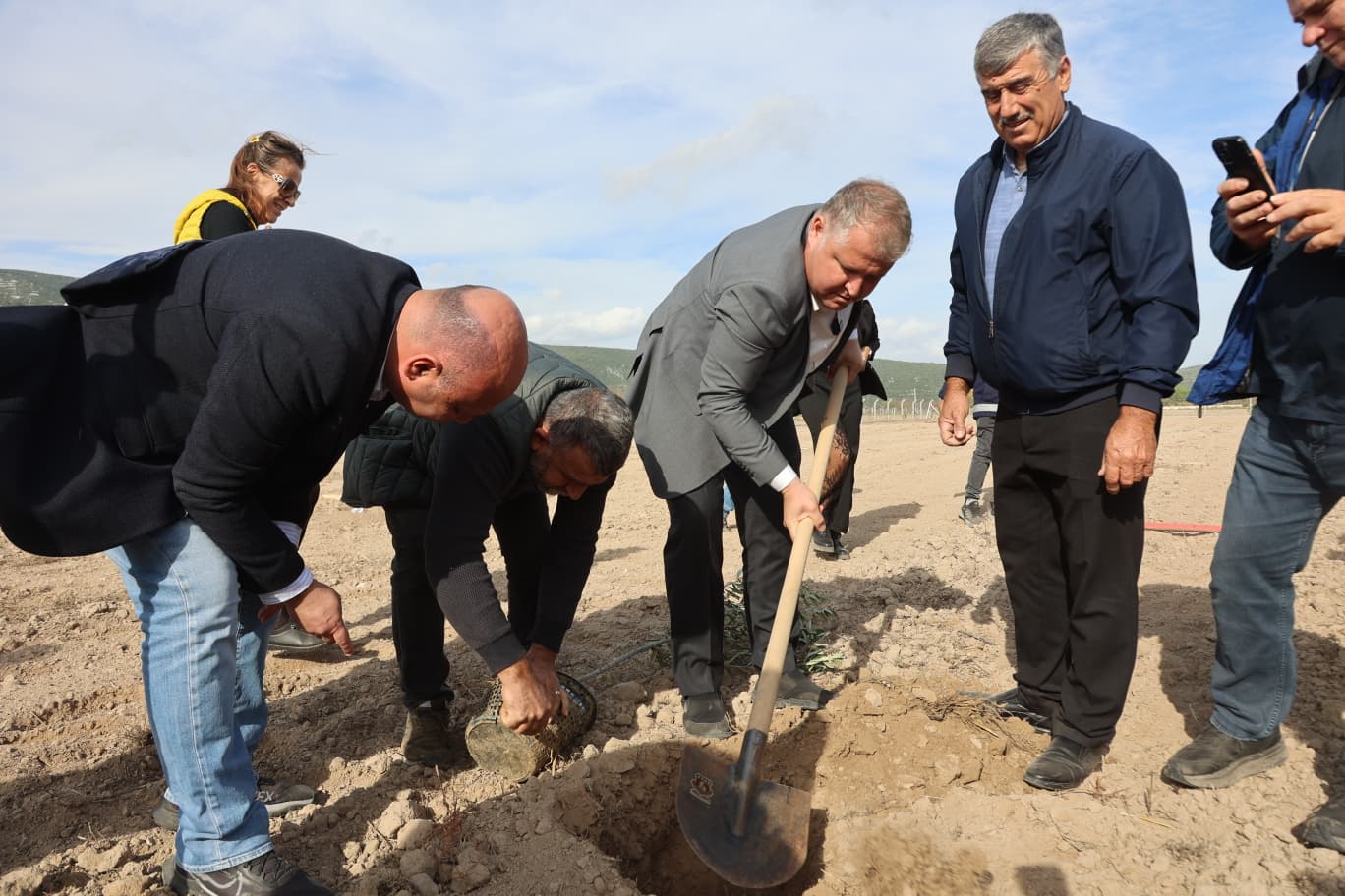 Urla’da Atatürk’ün Vasiyeti Yerine Getirildi: Zeytin Koleksiyon Bahçesi