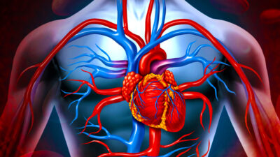 Bazekol Hastanesi Kalp Damar Cerrahisi Kliniği’nden Doç. Dr. Deniz Şerefli,