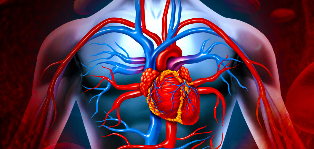 Bazekol Hastanesi Kalp Damar Cerrahisi Kliniği’nden Doç. Dr. Deniz Şerefli,