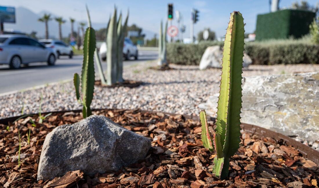İzmir’de 80 Futbol Sahası Büyüklüğünde Dönüşüm! Su Tasarrufunda Rekor! İzmir Büyükşehir Belediyesi, kuraklıkla mücadele kapsamında 80 futbol sahası büyüklüğündeki