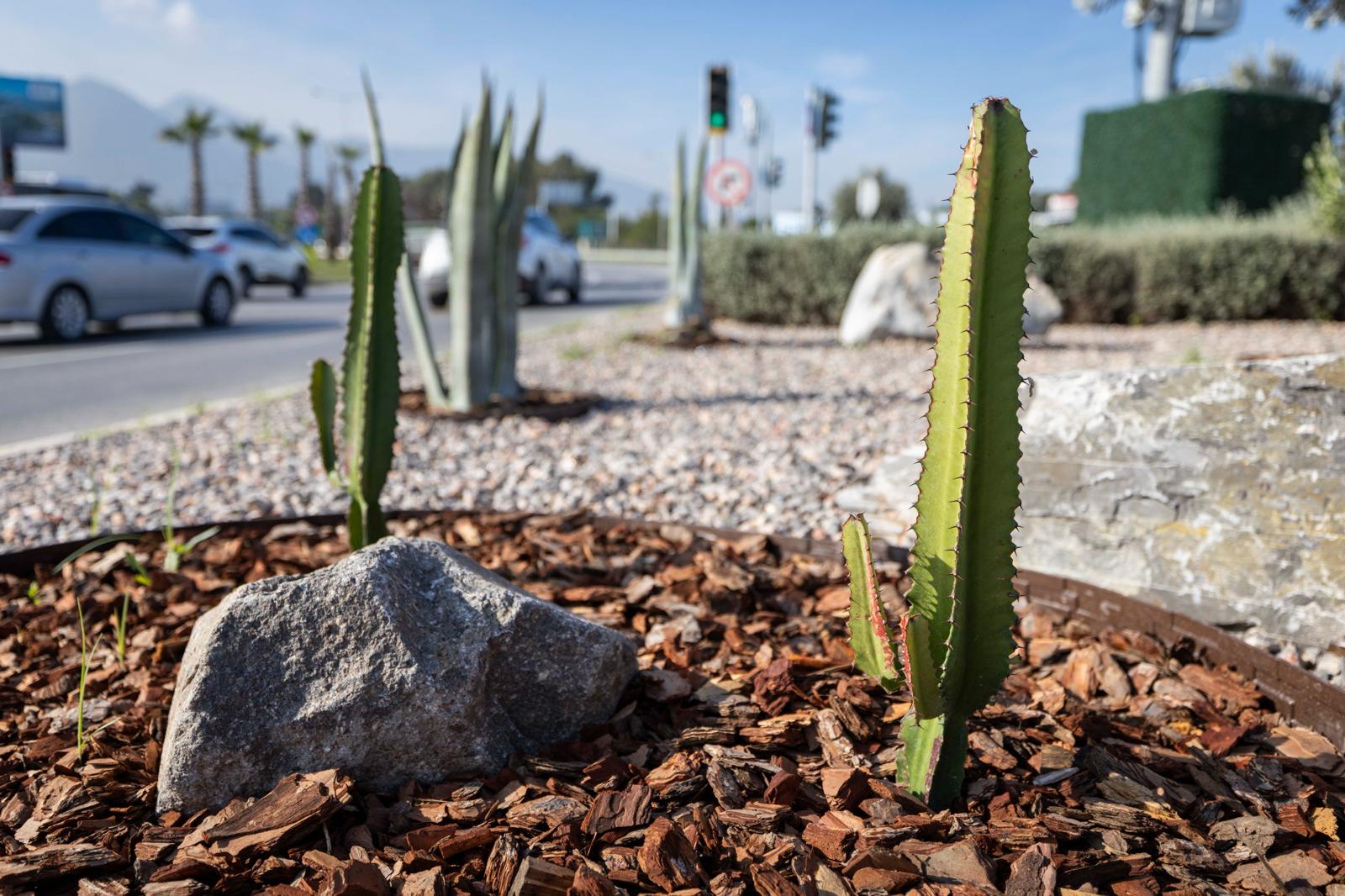 İzmir Büyükşehir Belediyesi, kuraklıkla mücadele kapsamında 80 futbol sahası büyüklüğündeki