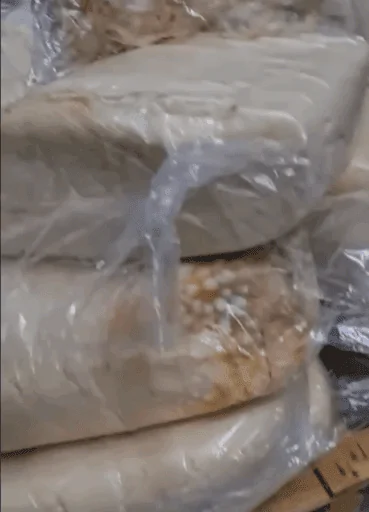 İzmir'de Pınar süt depolarında yapılan denetimde 1907 ton ürüne el