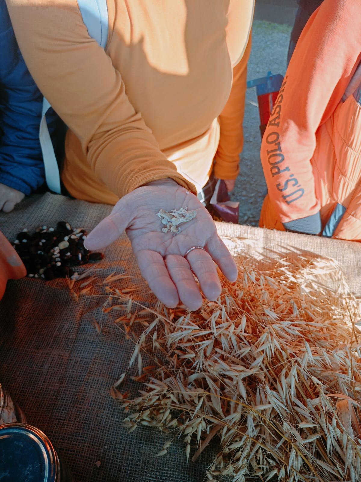 Engelli Öğrenciler Toprakla Buluştu