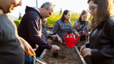 İzmir Büyükşehir Belediyesi'nin "Tohumdan Sofraya" etkinliğinde, engelli öğrenciler İnciraltı Terapi