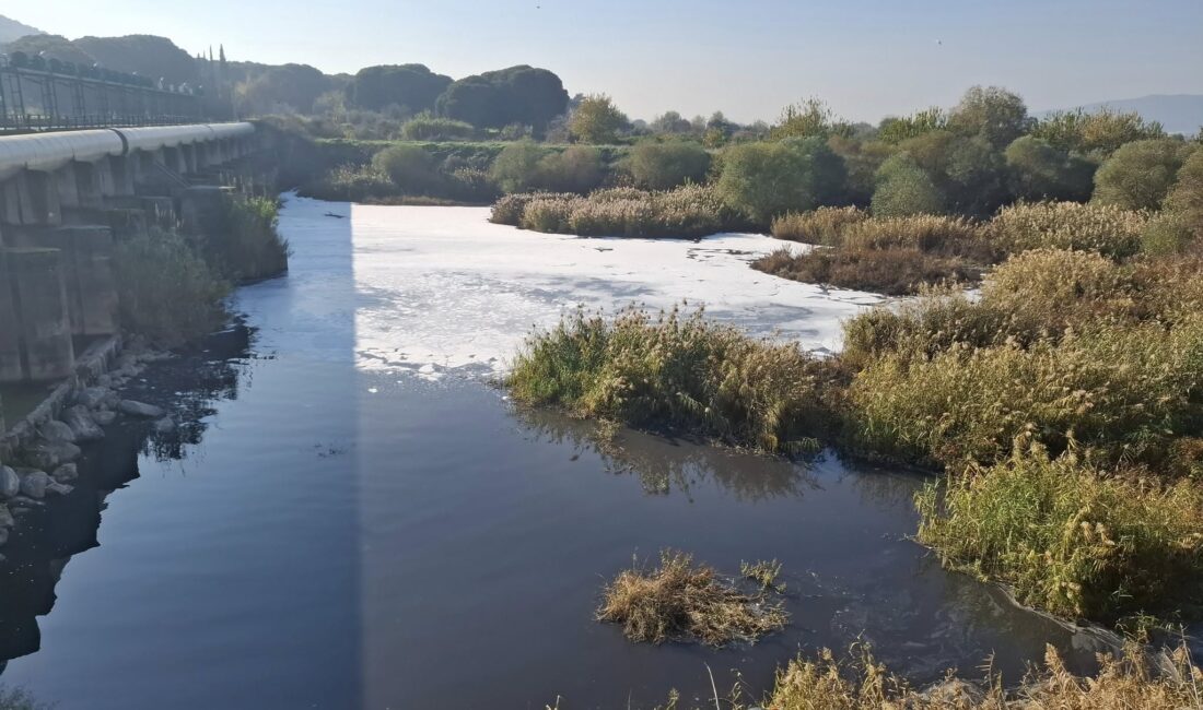 Gediz Nehri kirliliği alarm veriyor. CHP'li Karagöz: Menemen'de yetişen ürünler