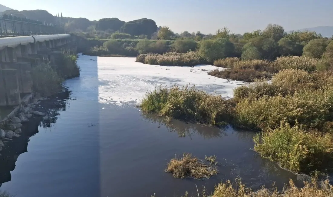 Gediz Nehri kirliliği alarm veriyor. CHP'li Karagöz: Menemen'de yetişen ürünler
