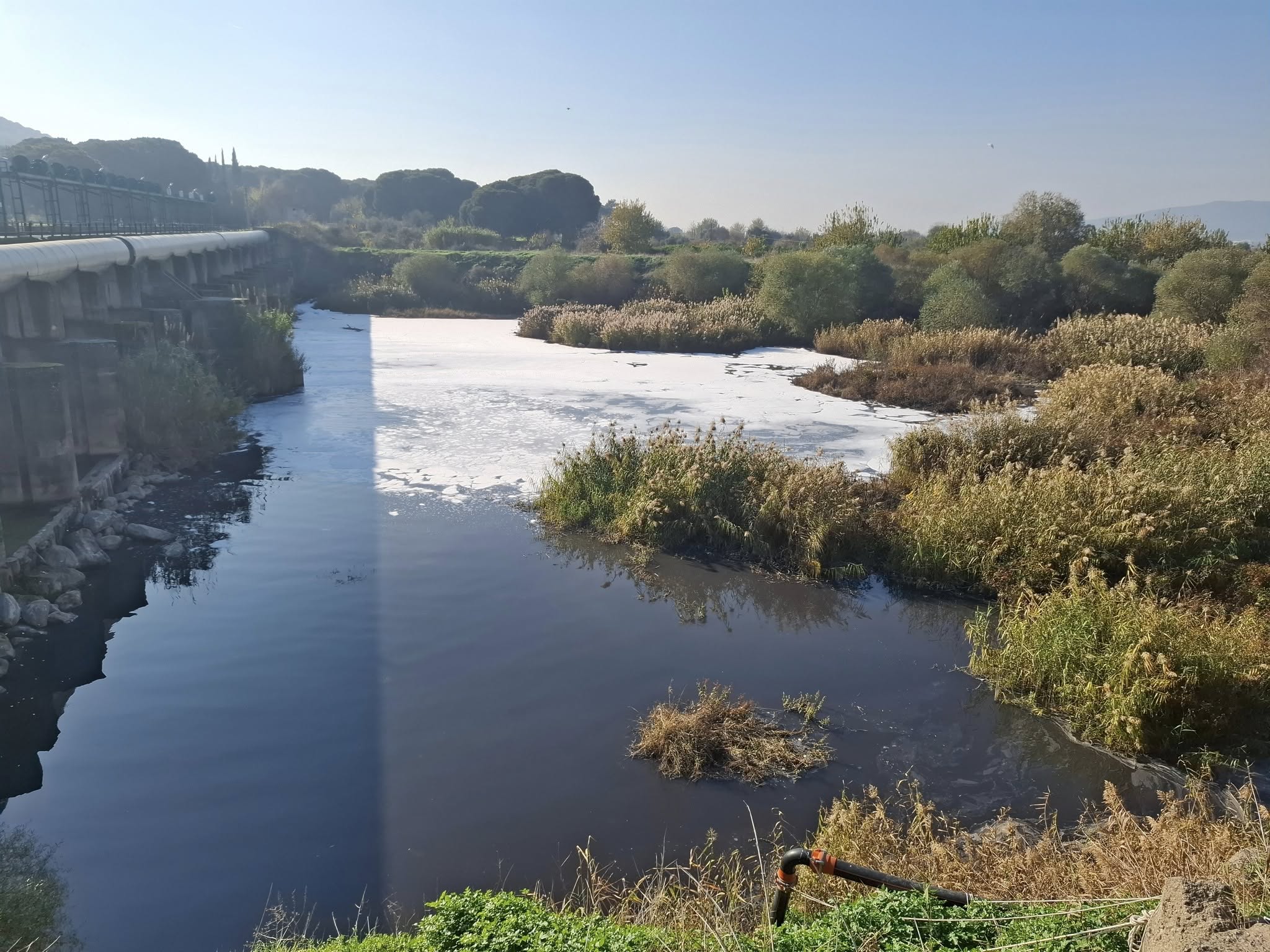 Gediz Nehri kirliliği alarm veriyor. CHP'li Karagöz: Menemen'de yetişen ürünler