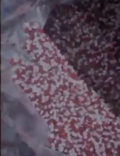 İzmir'de tarihi uyuşturucu operasyonu: 2,3 milyon ecza ele geçirildi