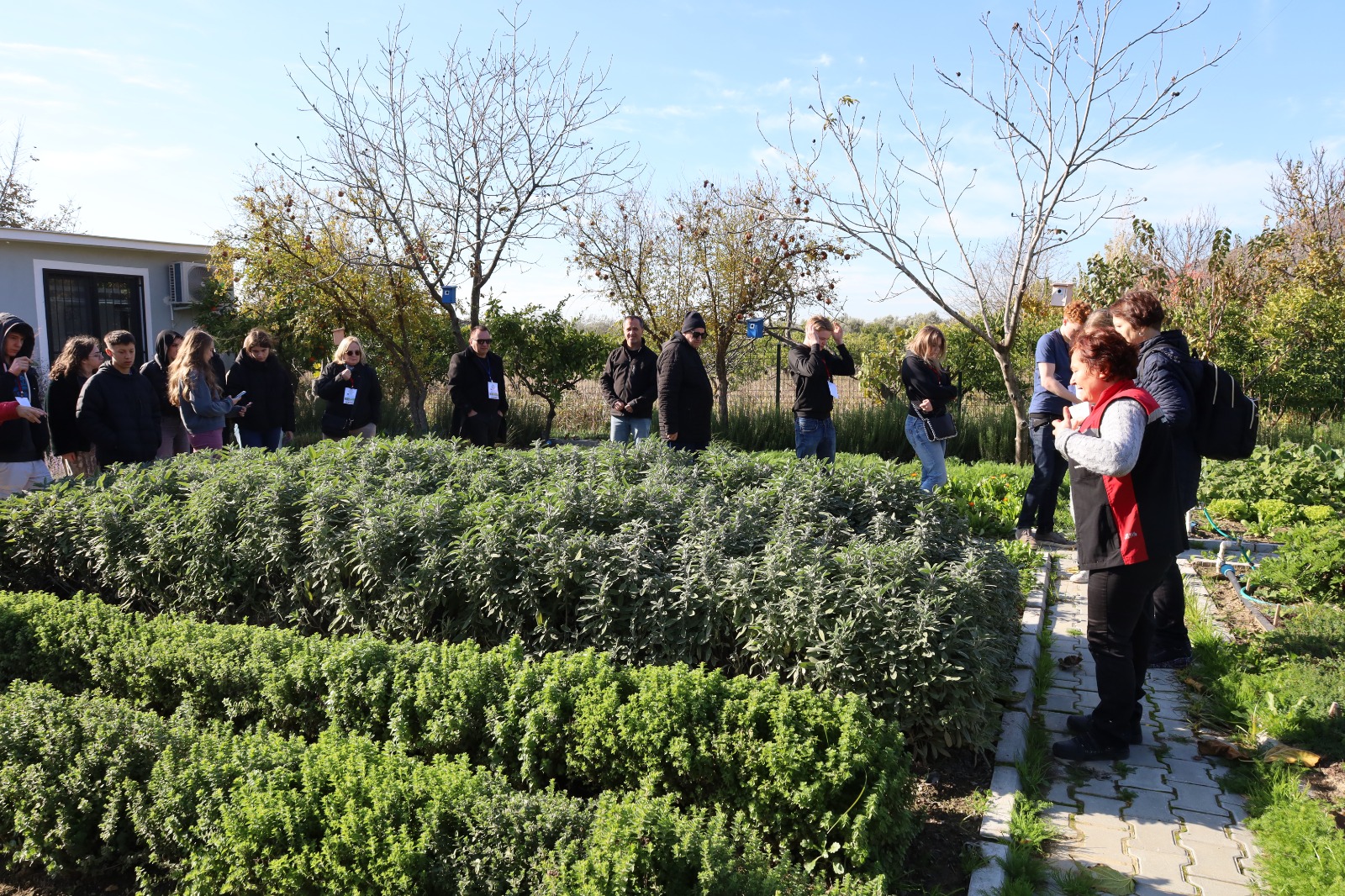 Menemen Erasmus projesi Avrupa’dan tarım çıkarması
