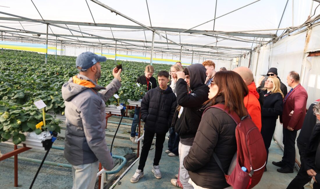 Menemen Erasmus projesi ile Avrupa’dan gelen konuklar modern tarım tekniklerini