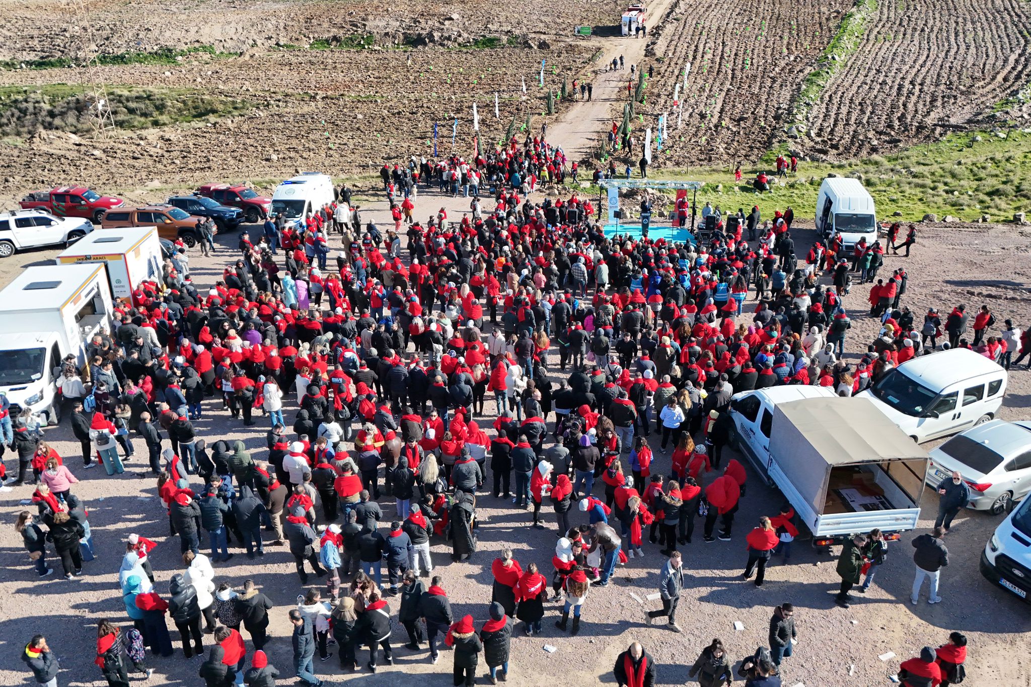 Menemen'de fidan dikimi