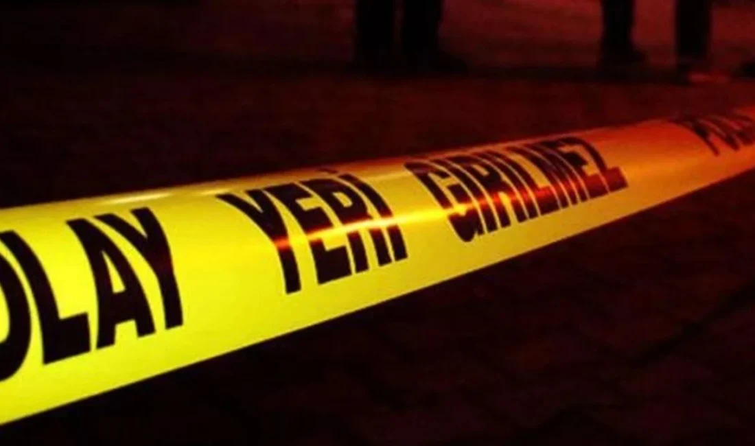 Denizli'nin Acıpayam ilçesi Çamlık Mahallesi'nde çıkan ev yangınında Ali Rıza