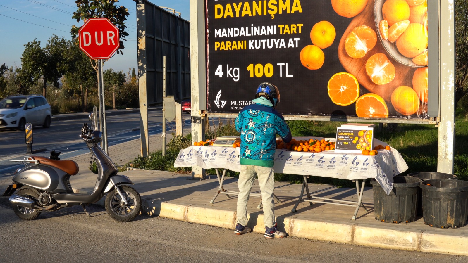 Güzelbahçe’de "Mandalinanı tart, parasını kutuya at" dönemi başladı. Satıcısız sistem
