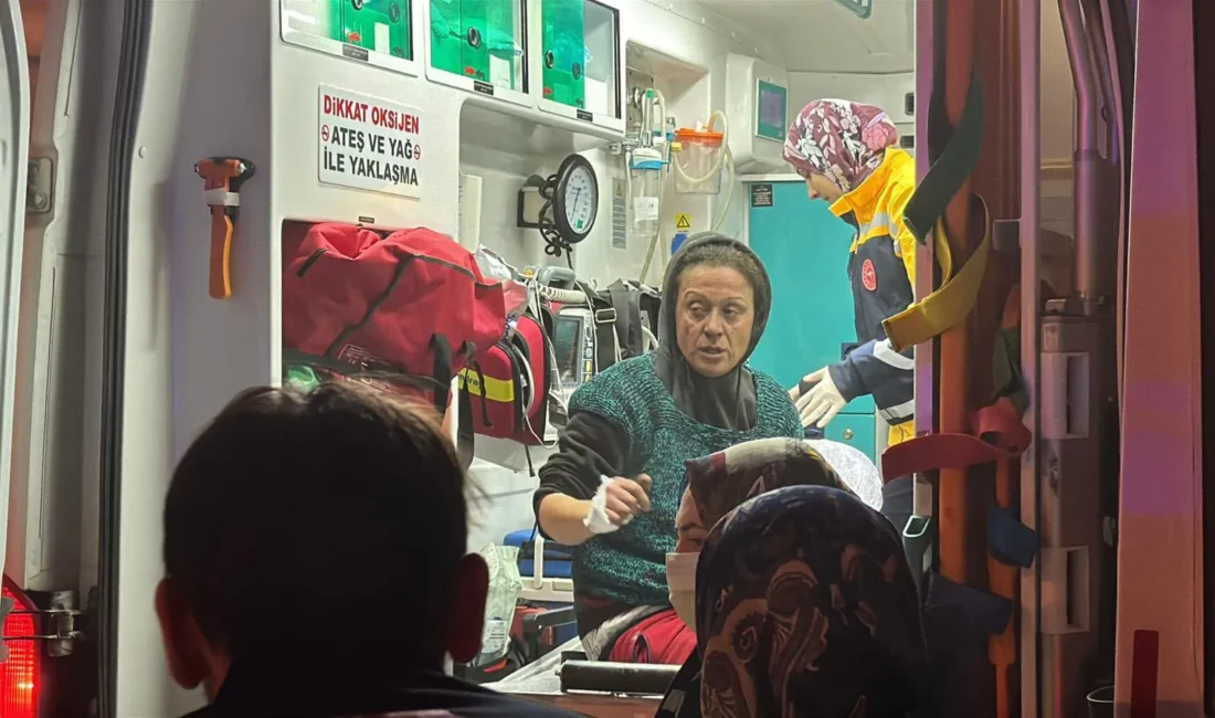 Kütahya’nın Sultanbağı Mahallesi'nde müstakil bir evde çıkan yangında Zekiye Sarı