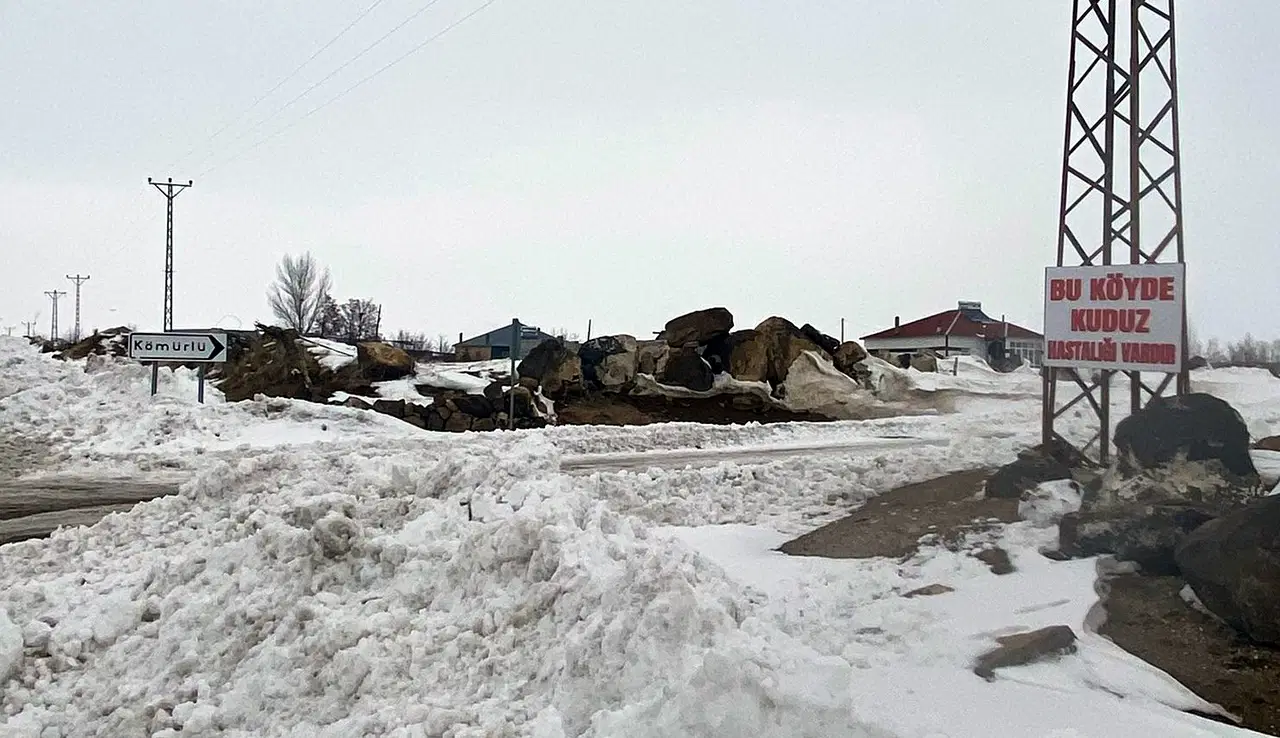 Bitlis'te köpeğin kuduz çıkmasıyla Kömürlü köyü karantinaya alındı; 6 köyde
