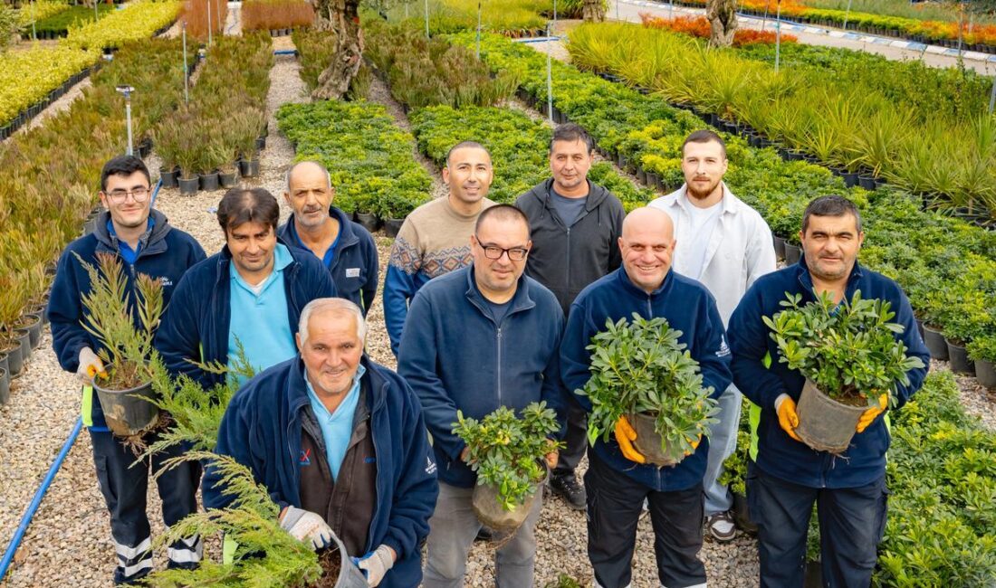 İzmir Büyükşehir Belediyesi fidanlıklarında yetiştirilen onlarca tür bitki kentin dört