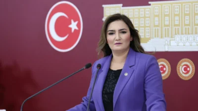 CHP İzmir Milletvekili Sevda Erdan Kılıç'a 'Cumhurbaşkanına hakaret' fezlekesi. Kılıç: