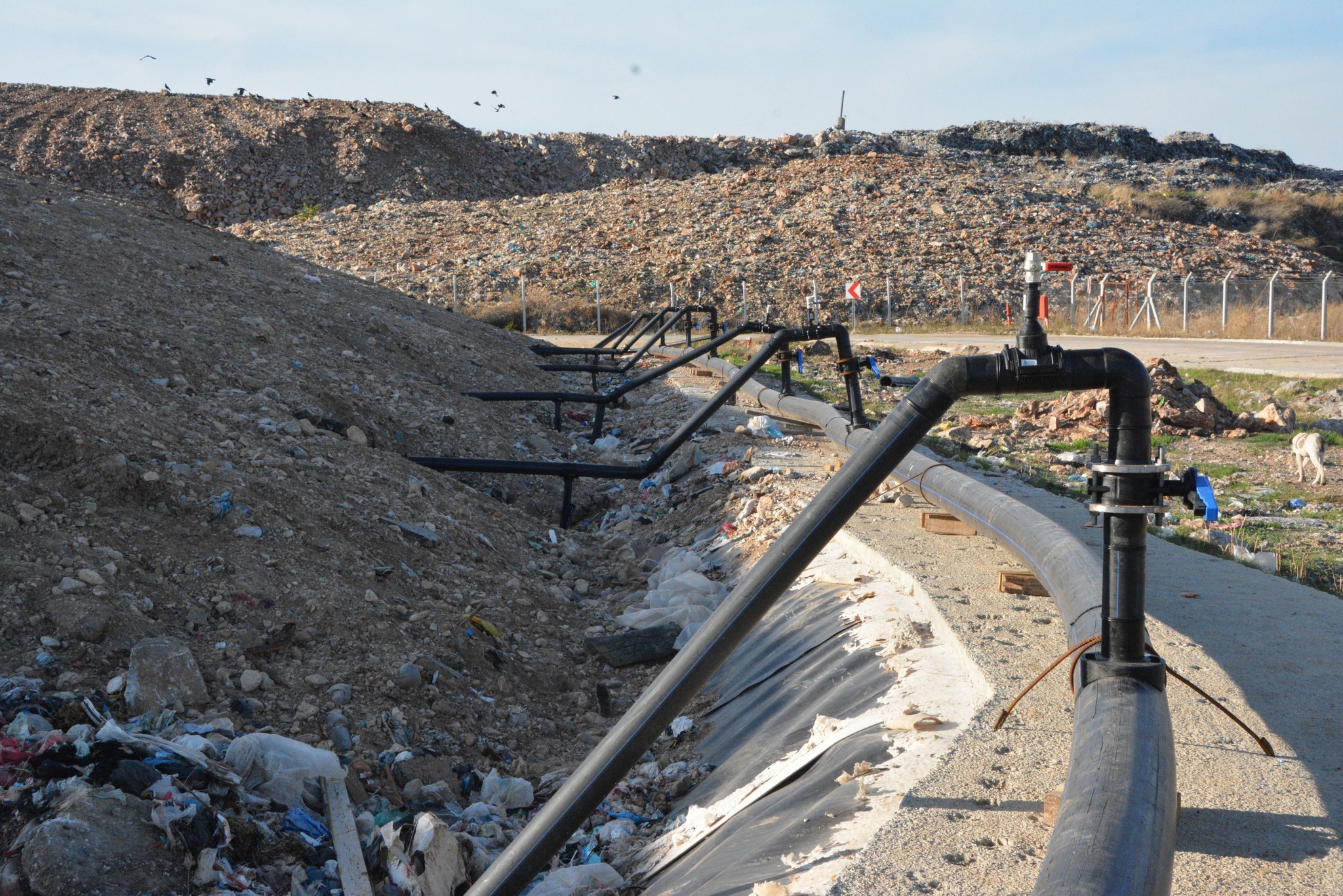 Muğla Çöpten Servet Bastı