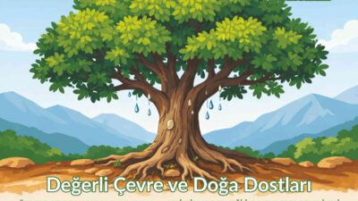 Menderes Sakız Ağacı Projesi ile Özdere'de yeni bir dönem başlıyor!