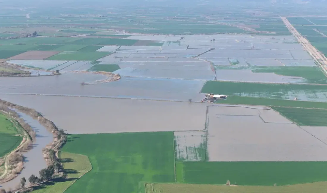Aydın'da Menderes Nehri'nin taşması sonucu İncirliova ve Germencik'te 2 bin