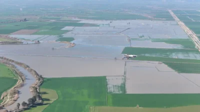 Aydın'da Menderes Nehri'nin taşması sonucu İncirliova ve Germencik'te 2 bin