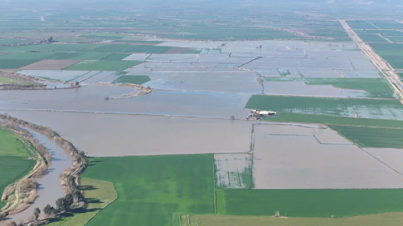 Aydın'da Menderes Nehri'nin taşması sonucu İncirliova ve Germencik'te 2 bin