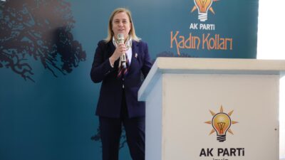 AK Parti İzmir İl Kadın Kolları Başkanı Emel Dalkıran, Teşkilat
