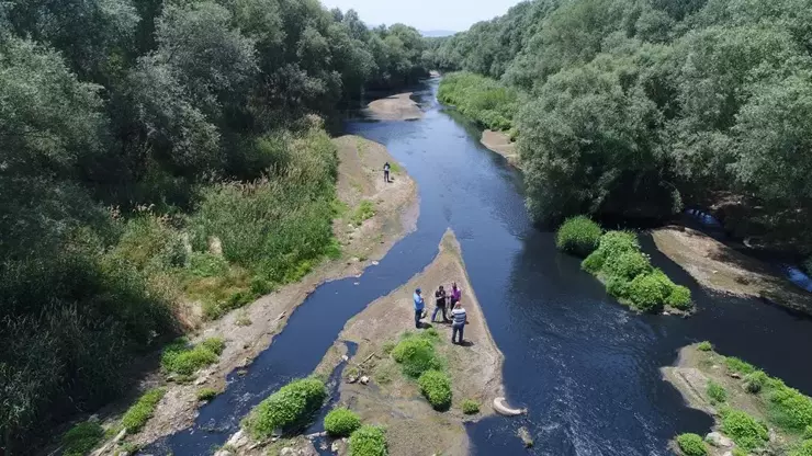 Ege Bölgesi'nde etkili olan yağışlardan sonra Gediz nehri hayata döndü.