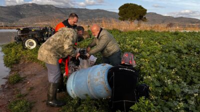 İzmir İtfaiyesi, Menemen'de sel suları altında kalan çiftlikteki yüzlerce hayvan