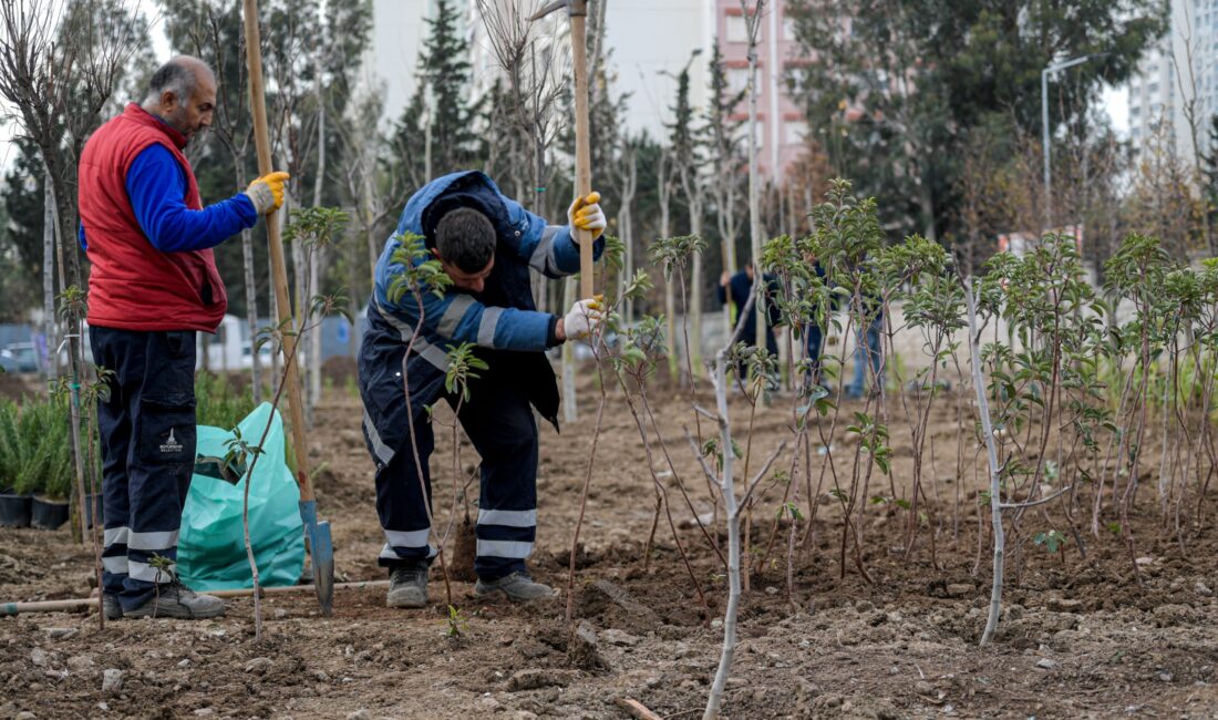 İzmir Büyükşehir Belediyesi, atıl alanları mikroforest yöntemiyle kendi kendine yeten